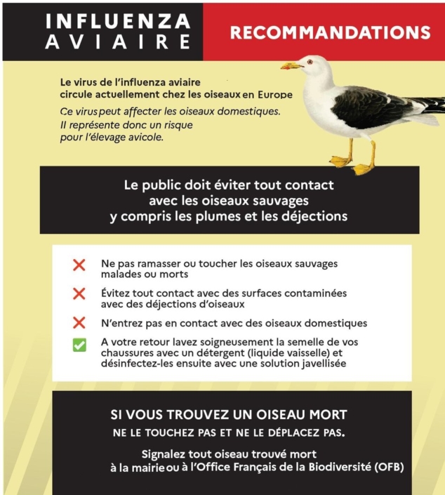 Influenza Aviaire : RECOMMANDATIONS - Pagny Sur Moselle